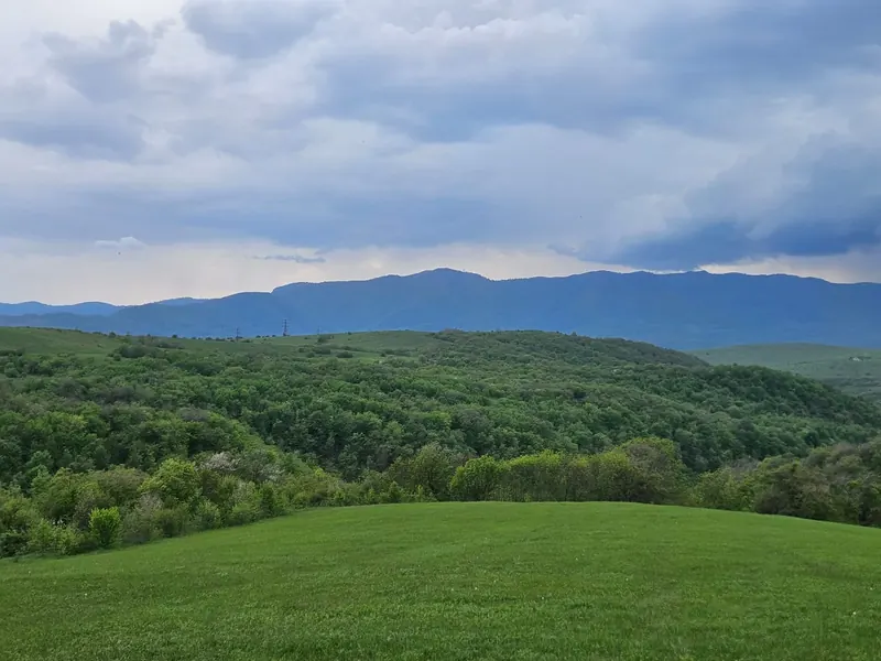 Land in Orbeti
